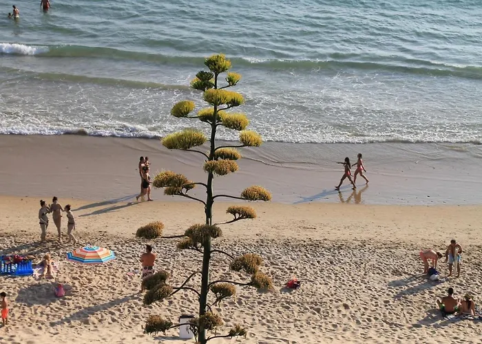 Canarias Apartment Conil De La Frontera