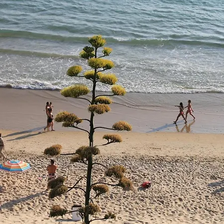 Canarias Apartment Conil De La Frontera